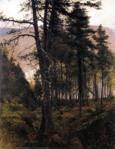 Fir Trees In The Glen — 조셉 파쿼슨