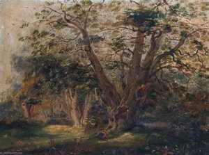 Purley Oaks, Croydon, Surrey — Walter William Acock