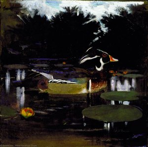 Male Wood Duck In A Forest Pool — Abbott Handerson Thayer