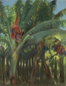 The Banana Forest, From The Canary Collection — Kazimieras Stabrowskis