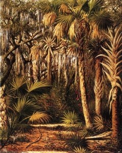 Palm Hammock With Epiphytes — William Aiken Walker