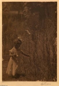 Marcia Tracy Marple