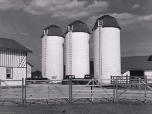 Barn And Silos On Rich Farmland. Bucks County, Pennsylvania — Marion Post Wolcott