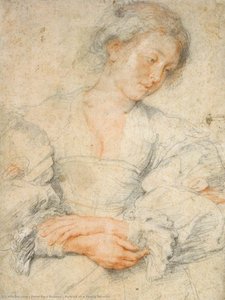 Untitled — Peter Paul Rubens