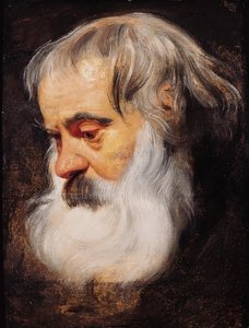 Portrait Of An Elderly Man — Peter Paul Rubens