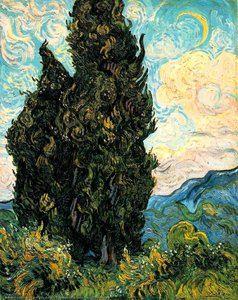 Cipreses, El Museo De Metro — Vincent Willem Van Gogh