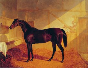Mr Johnstones Charles Xii In A Stable — जॉन फ्रेडरिक हेरिंग जूनियर