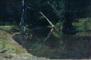 Forest Stream — Mikołaj Jaroszenko
