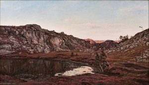 Lonely Place — Amaldus Clarin Nielsen