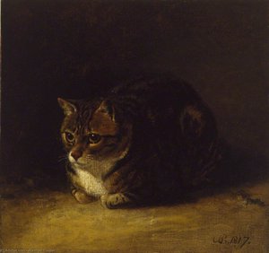 Study Of A Cat — Abraham Cooper