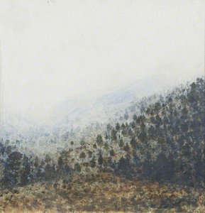 Rothiemurchus, Inverness — Andrew Scott George