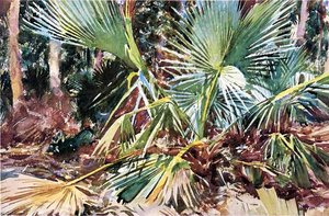 Palmiers, Floride — John Singer Sargent