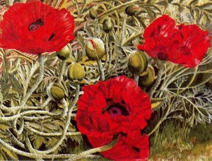 Poppies — Sir Stanley Spencer