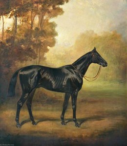 'black Arrow' — James Lynwood Palmer