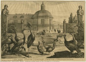 Birds At A Water Basin In The Menagerie Of Versailles — Boel Pieter (boule)