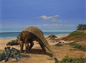 Sauropelta — Kish, Eleanor M. (ely)