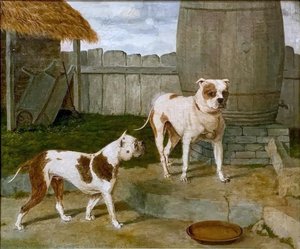 Crib And Rosa By A Barrel — Abraham Cooper
