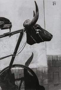 Torito (little Bull), Coyoacán, Mexico City — Graciela Iturbide