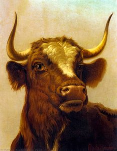 Head Of A Bull — Rosa Bonheur
