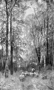 Forest Path With Sheeps (also Known As Waldweg Mit Schafen) — Emil Jacob Schindler