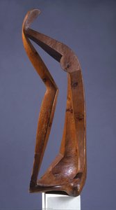 Spatial Force — Renato Marino Mazzacurati