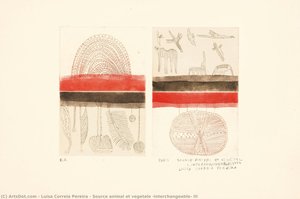 Source Animal Et Vegetale (interchangeable) Iii — Luísa Correia Pereira