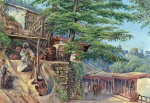 Drinking Fountain, Simla (shimla), Himachal Pradesh, India — Marianne North