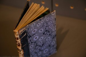 Top Of The Spine From — Adolfo Caminha