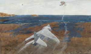 A Sea Harrier — Charles David Cobb