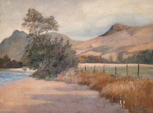 Beside River Orchy, Dalmally — Robert Lillie