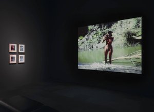 Untitled (blood And Feathers 2) — Ana Mendieta