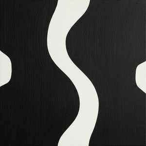 Monolithic Serenity: An Eternal Dance Of Fluid White Waves On Midnight Black — Laurent Vionnet