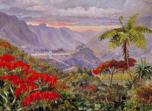 Veduta Del Collegio Gesuita Di Caracas, Minas Geraes, Brasile — Marianne North