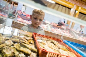 The Child In Front Of A Showcase — London News Agency Photos, Ltd