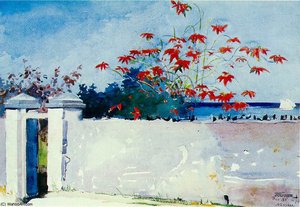 A Wall, Nassau, Watercolor, Metropol — Winslow Homer