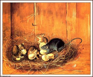 Black Rats — John James Audubon