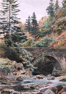 Pont Aberglaslyn — Frederick William Hayes