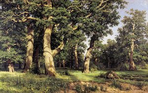 Oak Grove — ივან შიშკინი
