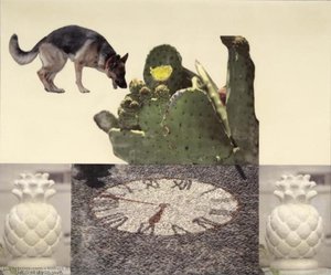 Untitled (runt) — Robert Rauschenberg