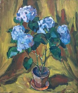 The Hydrangea — Evan Walters