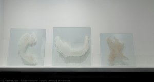 Whisps Movement — Amelia Amorim Toledo
