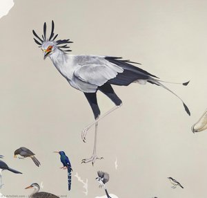Secretary-bird — Džejn Kim