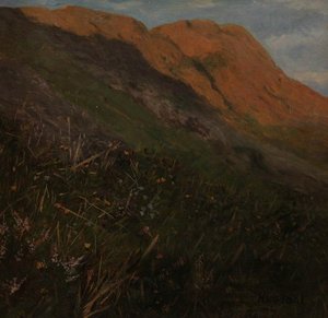 Mountain Landscape With Flowers — Hans Dahl