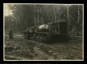 Clearing Logs From Fordlandia, Brazil, 1929 — Einar Oxholm