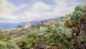 Vista De Sitio Del Pardo, Orotava, Tenerife — Marianne North
