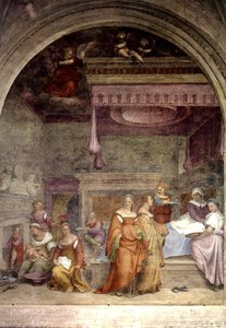Birth Of The Virgin — Andrea Del Sarto