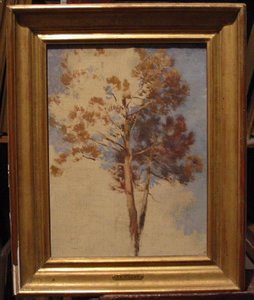 Etude De Pin — Jean Charles Cazin