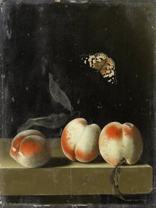 Three Peaches On A Stone Ledge With A Painted Lady Butterfly — Adriaen Coorte