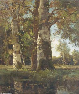 Beuken Stammen - Sunlit Beeches By A Pond — Theophile Emile Achille De Bock