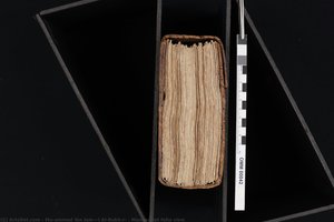 Manuscript Folio View — Muḥammad Ibn Ismā‘īl Al-bukhārī